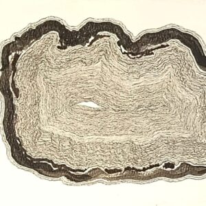 Victor Hugo Rodriguez Farías